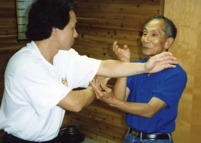 1995 Chi Sao with Ip Chun
